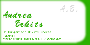 andrea brkits business card